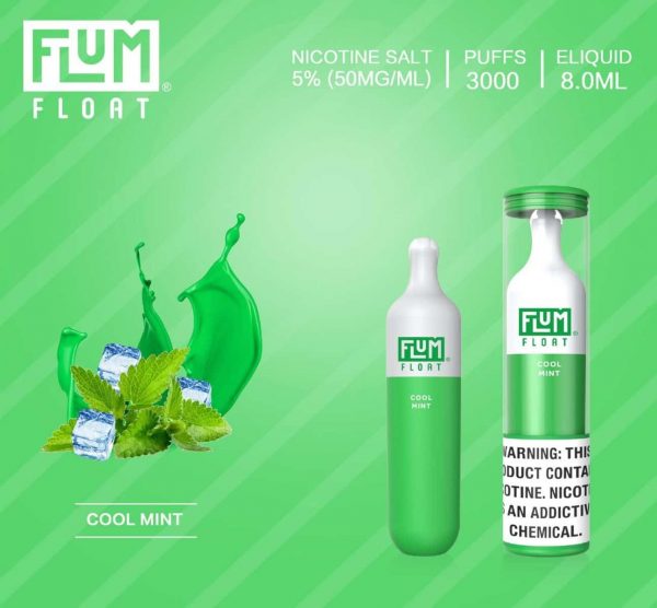 flum float disposable